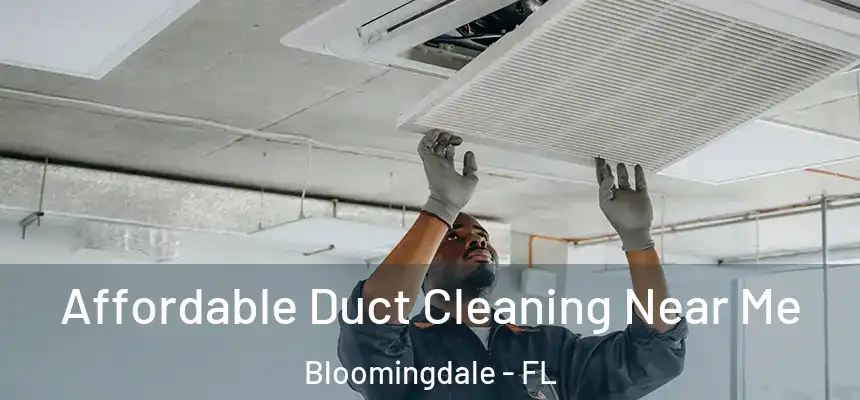 Affordable Duct Cleaning Near Me Bloomingdale - FL