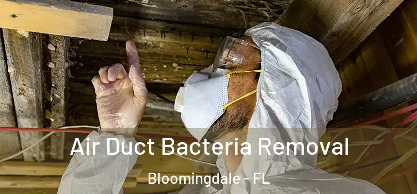 Air Duct Bacteria Removal Bloomingdale - FL