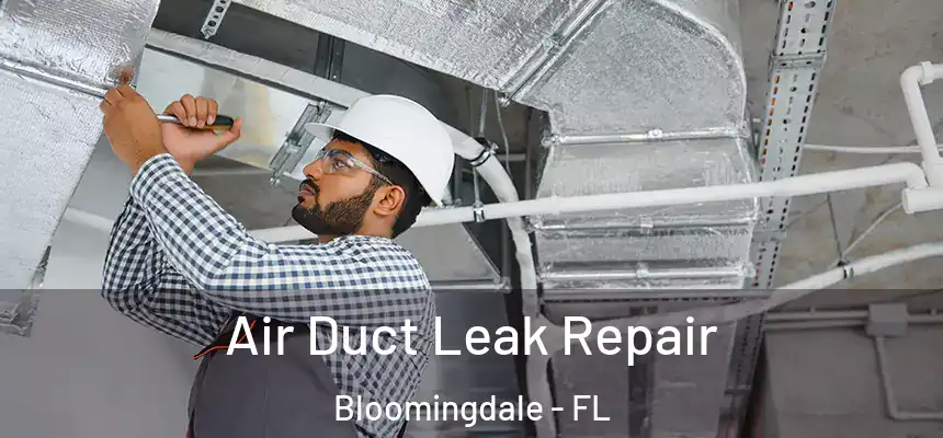 Air Duct Leak Repair Bloomingdale - FL