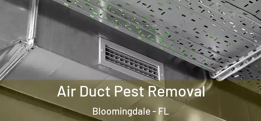 Air Duct Pest Removal Bloomingdale - FL
