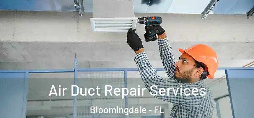 Air Duct Repair Services Bloomingdale - FL