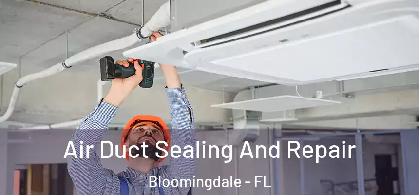 Air Duct Sealing And Repair Bloomingdale - FL