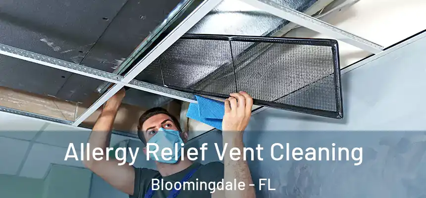 Allergy Relief Vent Cleaning Bloomingdale - FL