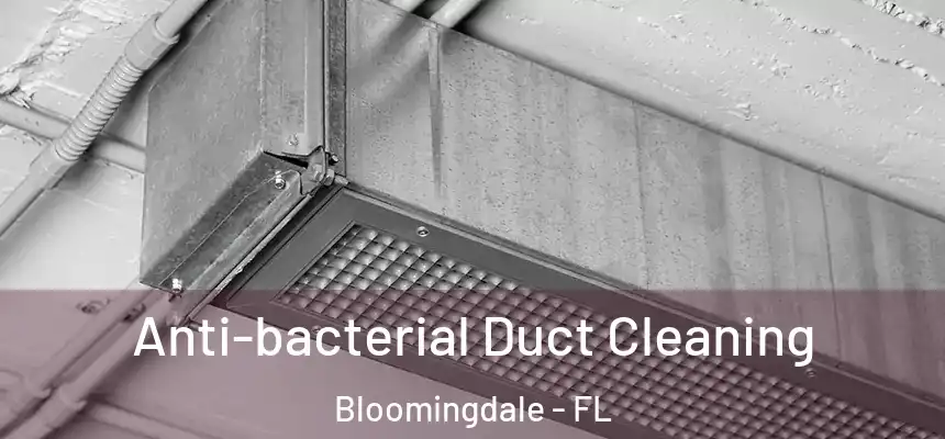 Anti-bacterial Duct Cleaning Bloomingdale - FL