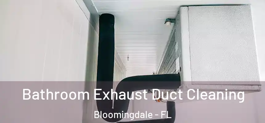 Bathroom Exhaust Duct Cleaning Bloomingdale - FL