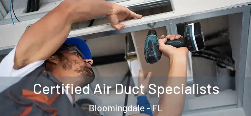 Certified Air Duct Specialists Bloomingdale - FL