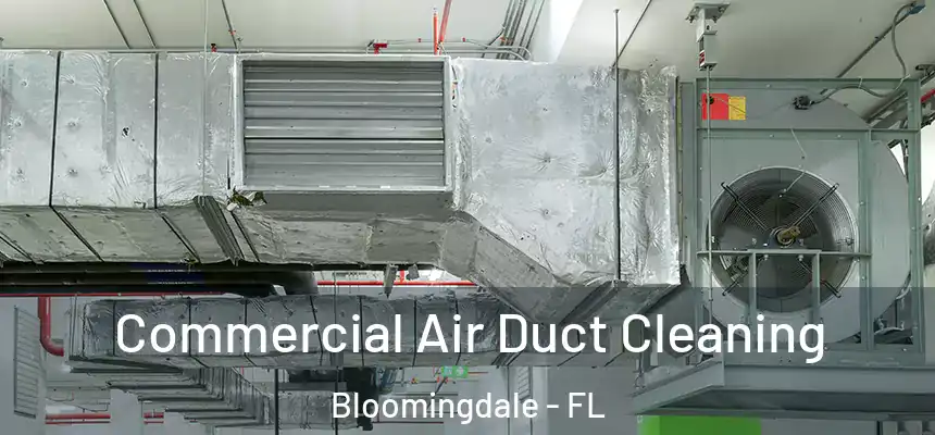 Commercial Air Duct Cleaning Bloomingdale - FL