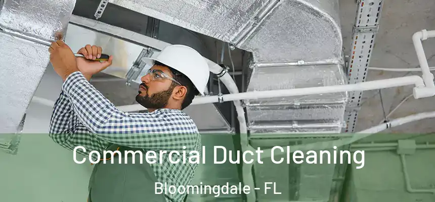 Commercial Duct Cleaning Bloomingdale - FL