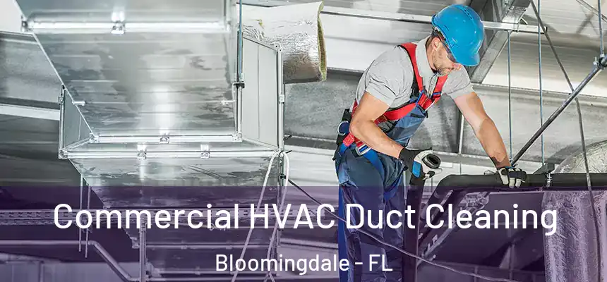 Commercial HVAC Duct Cleaning Bloomingdale - FL
