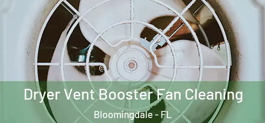 Dryer Vent Booster Fan Cleaning Bloomingdale - FL