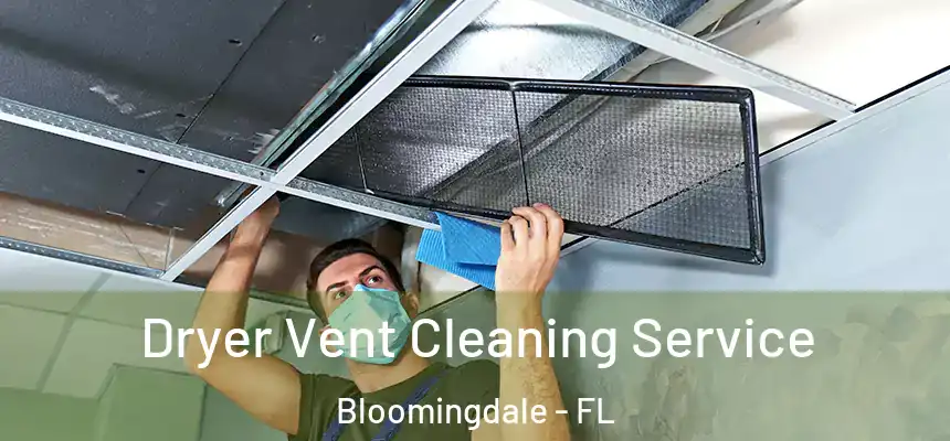 Dryer Vent Cleaning Service Bloomingdale - FL