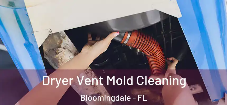 Dryer Vent Mold Cleaning Bloomingdale - FL