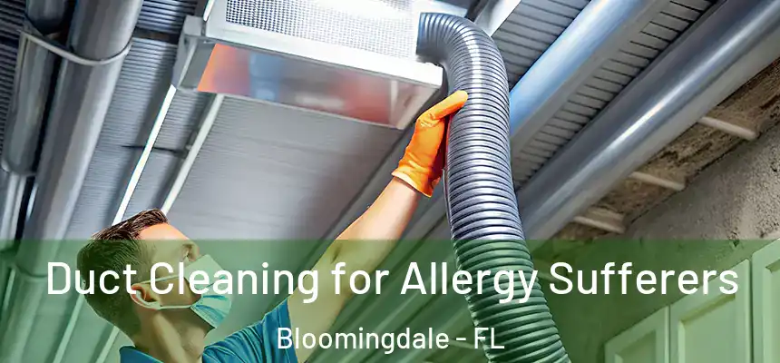Duct Cleaning for Allergy Sufferers Bloomingdale - FL