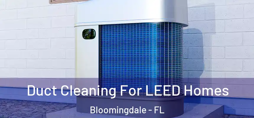 Duct Cleaning For LEED Homes Bloomingdale - FL