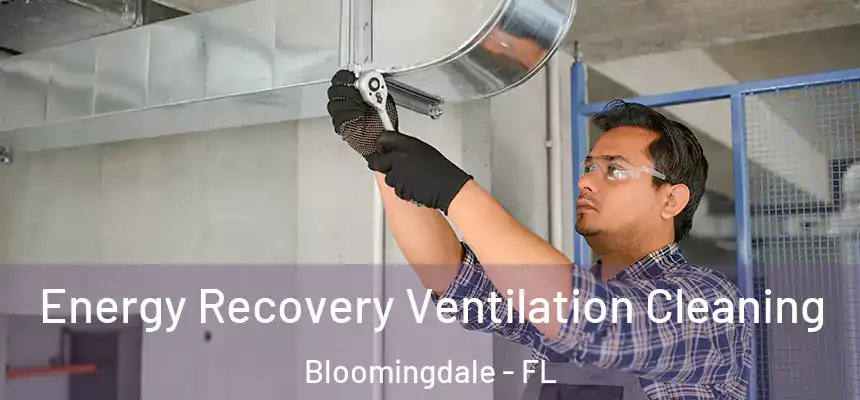  Energy Recovery Ventilation Cleaning Bloomingdale - FL