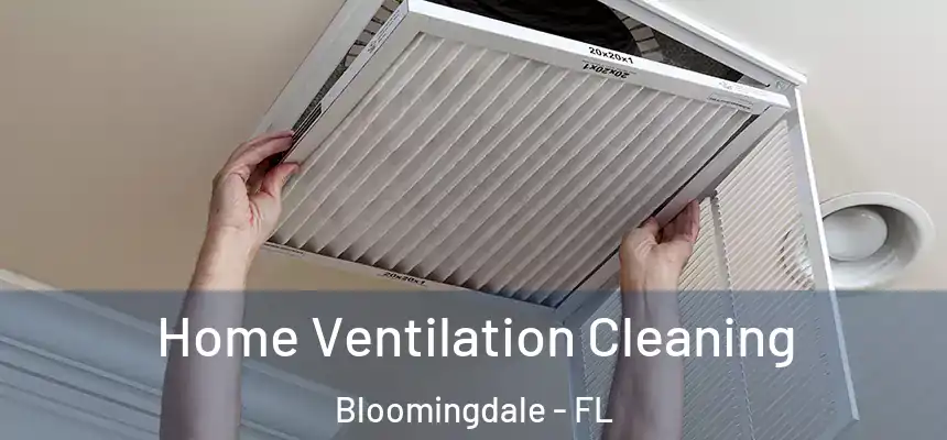 Home Ventilation Cleaning Bloomingdale - FL