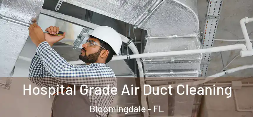 Hospital Grade Air Duct Cleaning Bloomingdale - FL