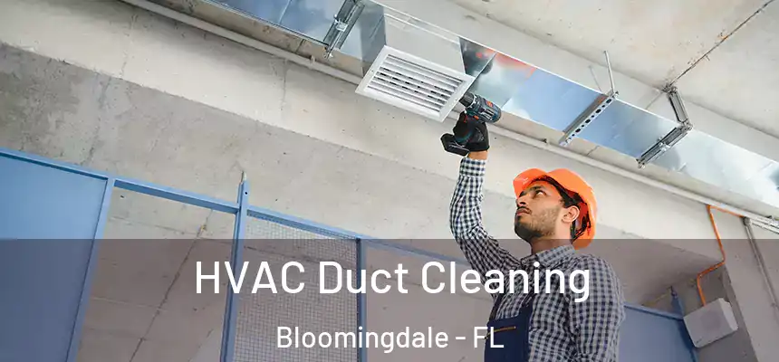 HVAC Duct Cleaning Bloomingdale - FL
