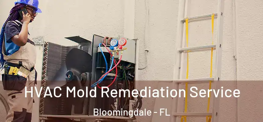 HVAC Mold Remediation Service Bloomingdale - FL
