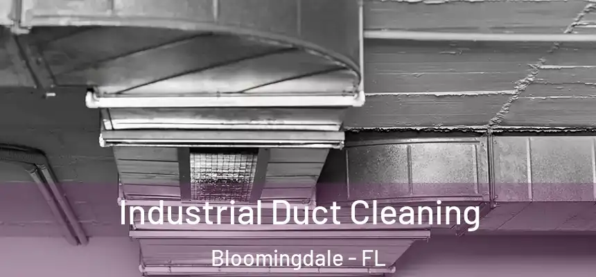 Industrial Duct Cleaning Bloomingdale - FL