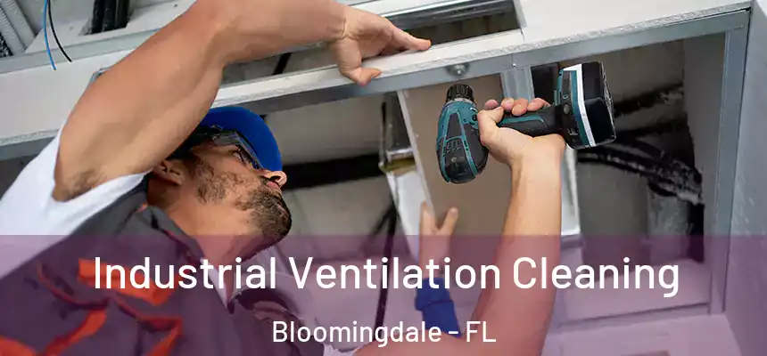 Industrial Ventilation Cleaning Bloomingdale - FL
