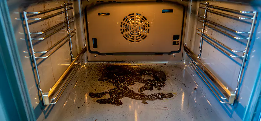 Our Dryer Vent Mold Cleaning Services in Bloomingdale, FL