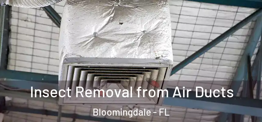 Insect Removal from Air Ducts Bloomingdale - FL