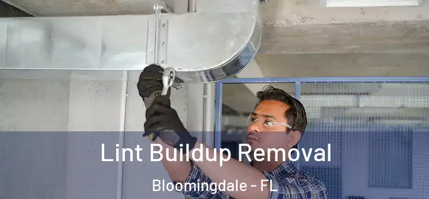 Lint Buildup Removal Bloomingdale - FL