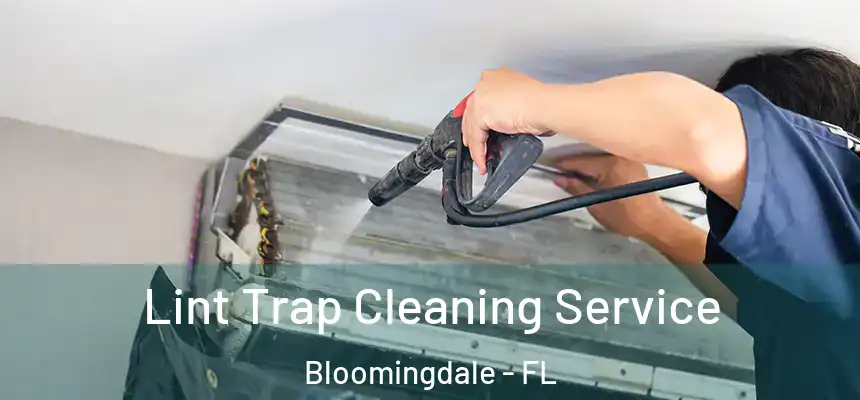 Lint Trap Cleaning Service Bloomingdale - FL