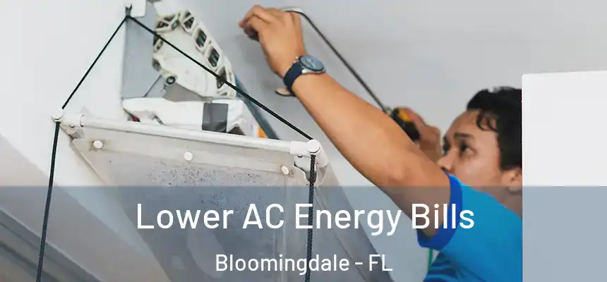 Lower AC Energy Bills Bloomingdale - FL