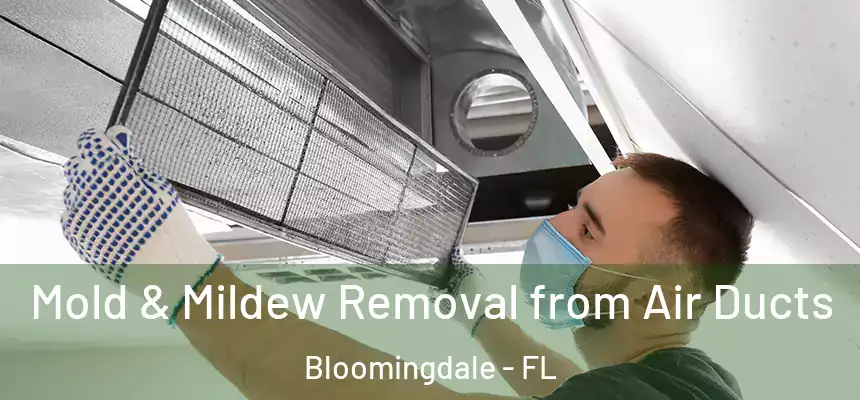 Mold & Mildew Removal from Air Ducts Bloomingdale - FL