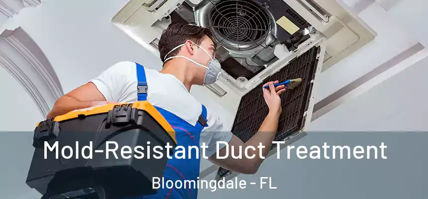 Mold-Resistant Duct Treatment Bloomingdale - FL