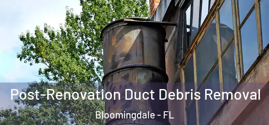 Post-Renovation Duct Debris Removal Bloomingdale - FL