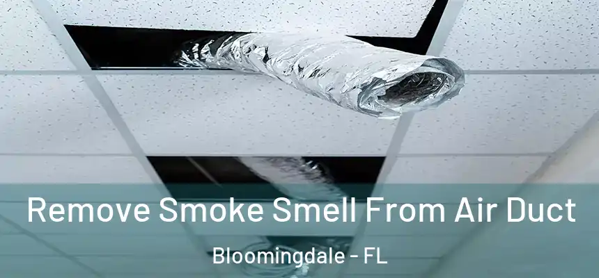 Remove Smoke Smell From Air Duct Bloomingdale - FL