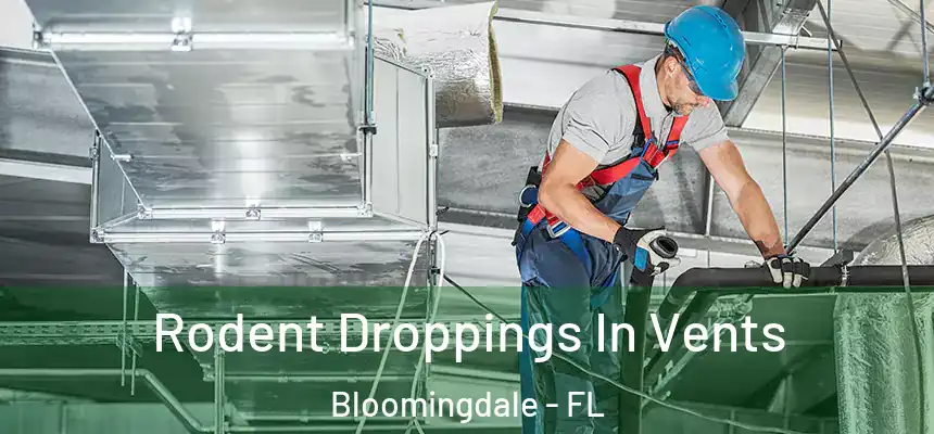 Rodent Droppings In Vents Bloomingdale - FL