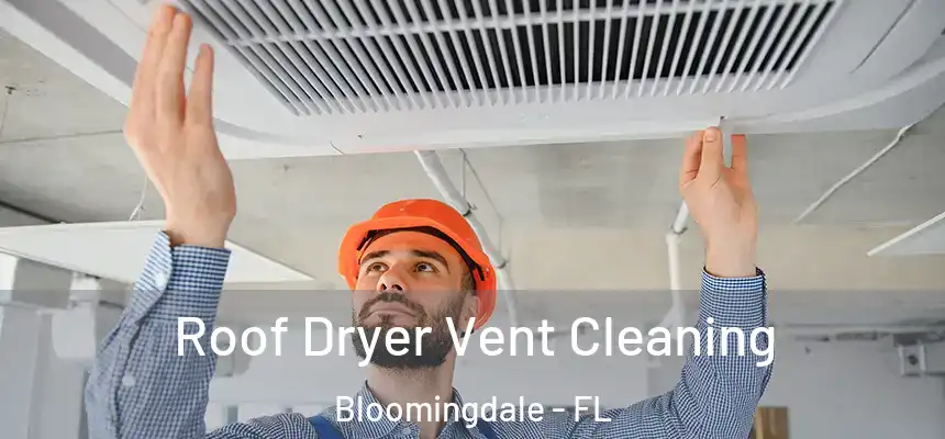 Roof Dryer Vent Cleaning Bloomingdale - FL