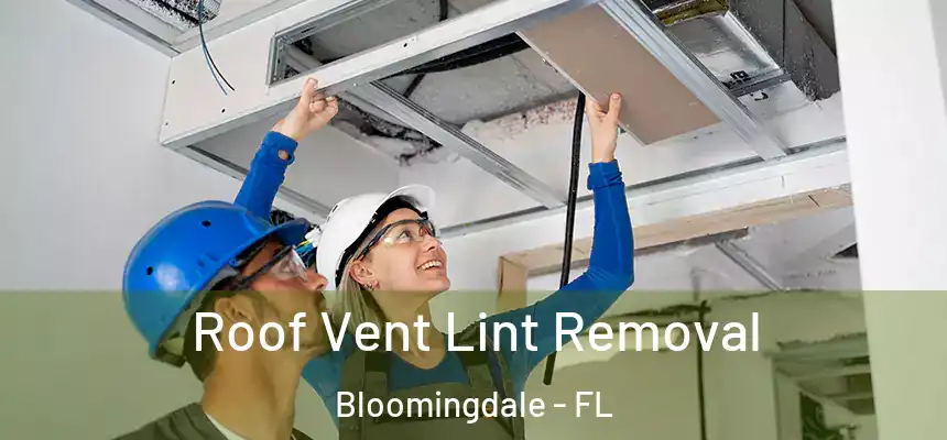 Roof Vent Lint Removal Bloomingdale - FL