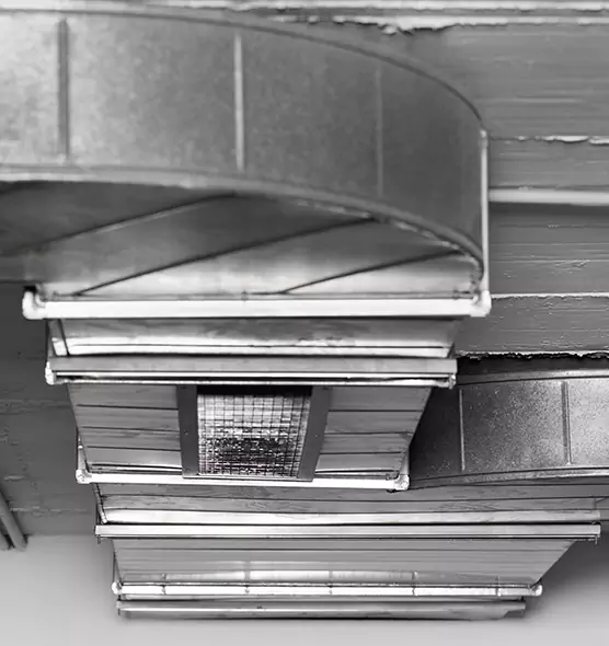 Professional Air Duct Pest Removal in Bloomingdale, FL