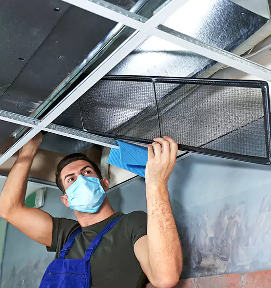 Professional Air Duct Pollen Cleaning in Bloomingdale, FL