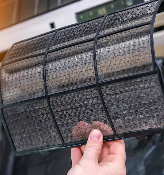 About Pet Dander Duct Cleaning in Bloomingdale, FL