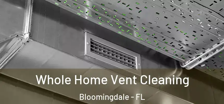 Whole Home Vent Cleaning Bloomingdale - FL