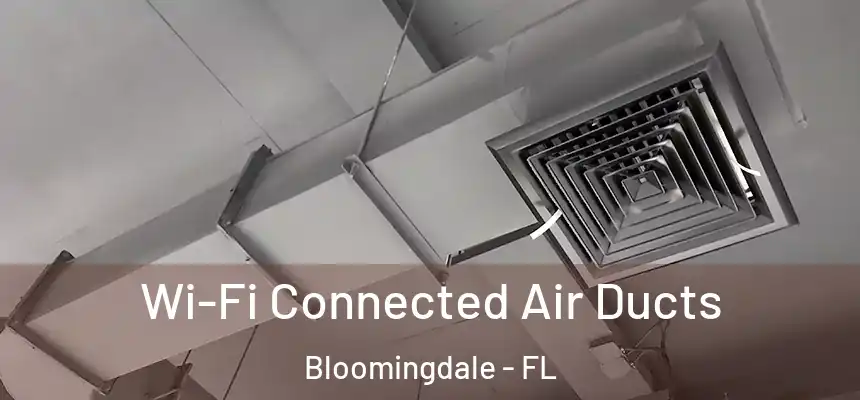 Wi-Fi Connected Air Ducts Bloomingdale - FL
